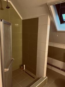 ein Bad mit einer Dusche und einer Glastür in der Unterkunft Casa Verde in Foeni