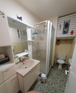 Et badeværelse på Appartement plein sud les Cyclades + 36 billeder