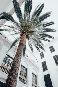 Fotografie z fotogalerie ubytování Hotel Born v destinaci Palma de Mallorca