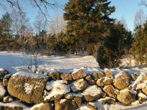 una pared de piedra cubierta de nieve en un campo en Saunamaja koos tünnisaunaga en Triigi