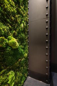 a metal door in front of a moss covered wall at Zrooms&Suites Hostel Boutique in Zaragoza