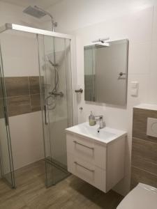 a bathroom with a sink and a shower with a mirror at FEWO "Hafenblick" in Ueckermünde