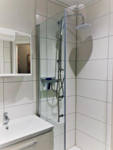 a bathroom with a shower with a sink and a mirror at Vier Jahreszeiten 2-6 in Großenbrode