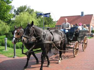 Hosté ubytování Ribe Byferie Resort