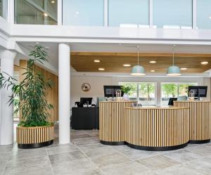 Vstupní hala nebo recepce v ubytování Ribe Byferie Resort