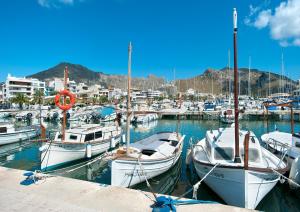 Fotografia z galérie ubytovania Owl Booking Villa Payeras - 15 Min Walk to the Beach v destinácii Port de Pollensa
