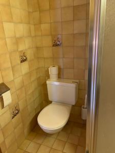 a bathroom with a white toilet in a room at Haus Aurelia in Au im Bregenzerwald
