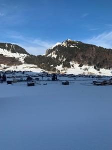 eine Gruppe von Häusern am Ufer eines schneebedeckten Berges in der Unterkunft Haus Aurelia in Au im Bregenzerwald