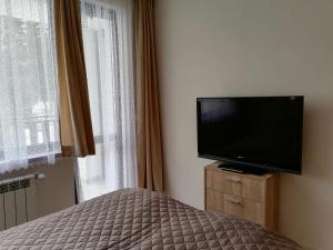 A television and/or entertainment centre at Borovets Gardens Apartment A27