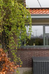 a building with a brick wall and a window at De oude slaght- luxe suite met buitensauna in Zaandam