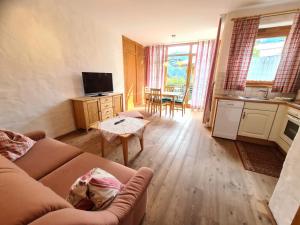 TV a/nebo společenská místnost v ubytování Apartments Juri & Hermann 2