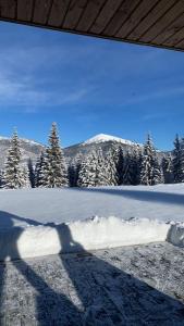 a shadow of a person taking a picture of a snow covered mountain at TOPHILL House in Palyanytsya