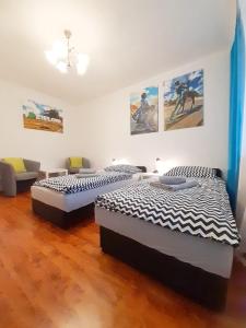 Zimmer mit 2 Betten und einem Sofa in der Unterkunft Apartament Bachusik in Zielona Góra