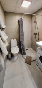 a bathroom with a shower and a toilet and a sink at MyApartments Kotka in Tallinn