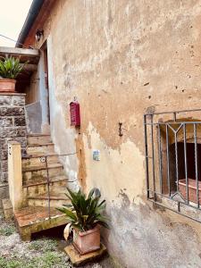 Fotografia z galérie ubytovania Casina del Fabbro v destinácii Montescudaio