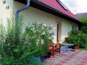 un patio con un banco, una mesa y algunas plantas en Ferienwohnung im Blumengarten, en Angermünde