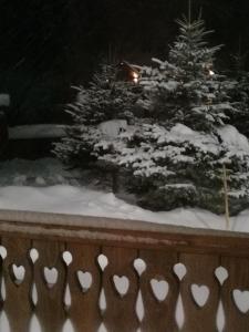 Chalet Zolota Pidkova & River v zimě