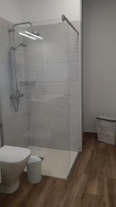 a bathroom with a toilet and a glass shower at Casa Lela II in Fuencaliente de la Palma
