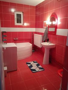 Kúpeľňa v ubytovaní Vila Sabo- Casa de vacanta cu lac de pescuit si ciubar cu hidromasaj
