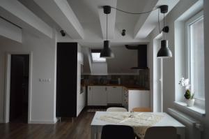 Kuchyň nebo kuchyňský kout v ubytování Ager Apartments