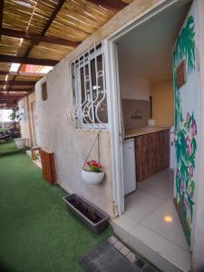 a kitchen with a window and a plant in a yard at הבית הלבן של נתן in Eilat