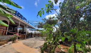 Zahrada ubytování Galápagos Casa Playa Mann