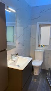 een badkamer met een wastafel en een toilet bij Chris AKROPOLI in Athene