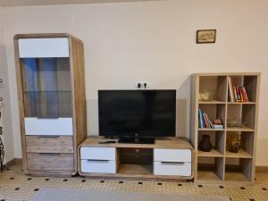 un centro di intrattenimento con TV a schermo piatto di Appartements avec piscine a Durtal