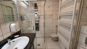 bagno con lavandino e servizi igienici di Apartament Fodor a Topliţa