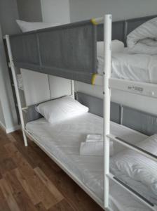 a couple of bunk beds in a room at Familijny in Toruń