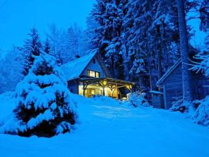 una baita nel bosco nella neve di notte di Krpáčovo, Nízke Tatry - chata na kraji lesa a Dolná Lehota Altre 14 foto