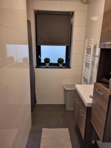 a bathroom with a sink and a window with two plants at Recreatiewoning Maas en Waal 72 in Ewijk +17 photos