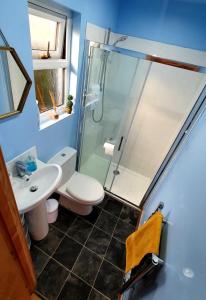 a bathroom with a shower and a toilet and a sink at The Lodge in Guyhirn