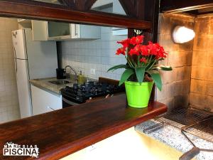a green vase with red flowers on a counter in a kitchen at Flat 1 Dorm. Maresias Praia&Lazer& Ar&Piscina F3 in São Sebastião