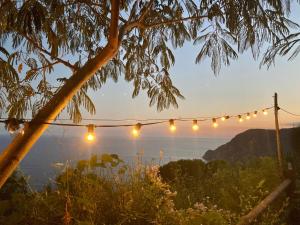 a string of lights hanging from a tree at Villa Pietrafiore in Monterosso al Mare