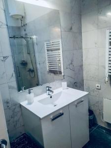 a bathroom with a sink and a shower and a mirror at Sara Apartment in Belgrade