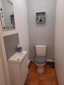 Koupelna v ubytování BEL APPARTEMENT T2 VUE MER - SAINTE LUCE + 5 fotografií