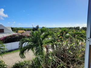uma vista para um jardim com palmeiras e para o oceano em BEL APPARTEMENT T2 VUE MER - SAINTE LUCE em Sainte-Luce