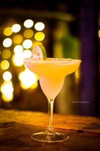 a margarita with a lime slice in a glass at Perezoso Hostel in Rurrenabaque