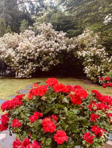 En trädgård utanför Villa am Südpark