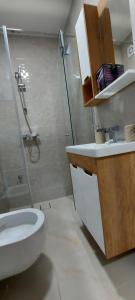 Kamar mandi di Sumski san 2