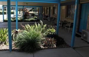 un groupe de plantes devant un bâtiment dans l'établissement Kilcoy Gardens Motel, à Kilcoy