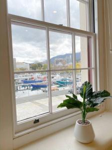a window with a plant in a vase on a window sill at Luxury Hobart Waterfront Apartment with views! in Hobart