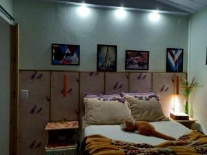 un gato acostado en una cama en una habitación en Casa perto do centro, en Garopaba 3 fotos más