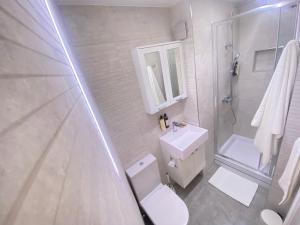 uma casa de banho com um WC, um chuveiro e um lavatório. em Station Rooms em Winchester