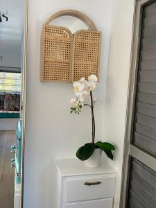 Foto dalla galleria di Alice & Elvis, Crescent Head, Retro Caravans with Deck, Bathroom & Outdoor Bath in a Bush Setting near the Beach a Crescent Head
