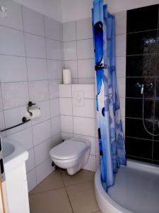a small bathroom with a toilet and a shower at Apartment Blue - right at the beach in Ilovik