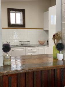 a kitchen with a wooden counter with two plants on it at Location cottage with industrial touch in Bathurst +12 photos