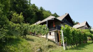 ein Haus mit Reben an der Seite eines Hügels in der Unterkunft Vineyard Cottage Zajc in Semič