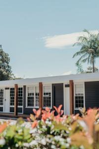 a building with black and white windows and a palm tree at Nelson Palms in Nelson Bay